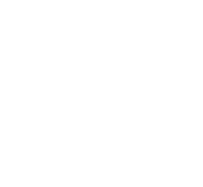 Corax World Industries